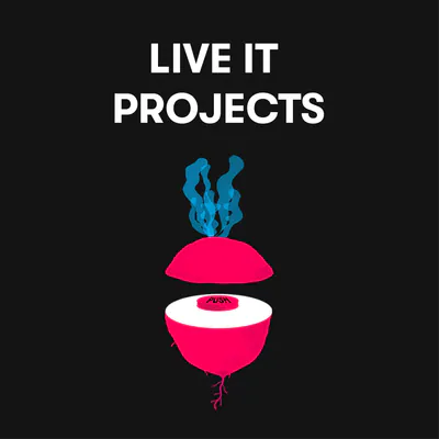 Live IT Projects blog